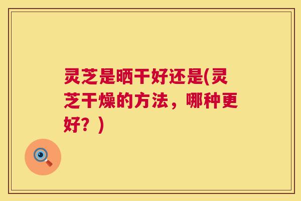 灵芝是晒干好还是(灵芝干燥的方法，哪种更好？)  第1张