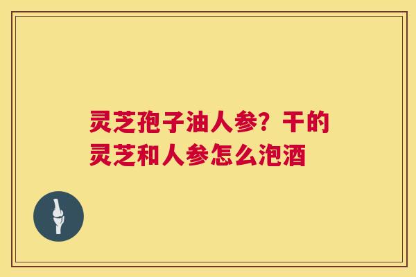灵芝孢子油人参？干的灵芝和人参怎么泡酒  第1张