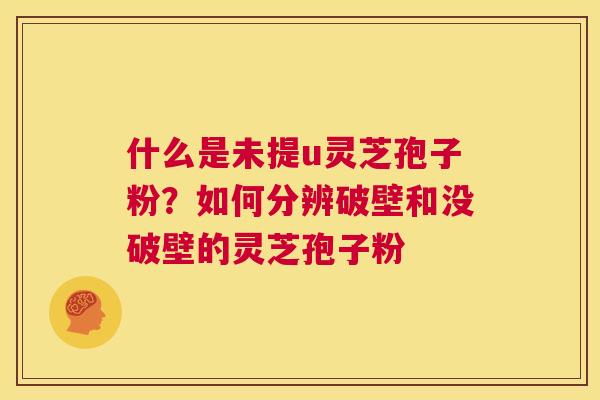 什么是未提u灵芝孢子粉？如何分辨破壁和没破壁的灵芝孢子粉  第1张