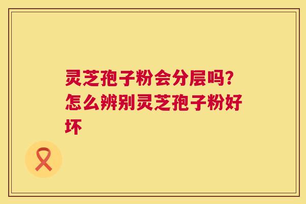灵芝孢子粉会分层吗？怎么辨别灵芝孢子粉好坏  第1张