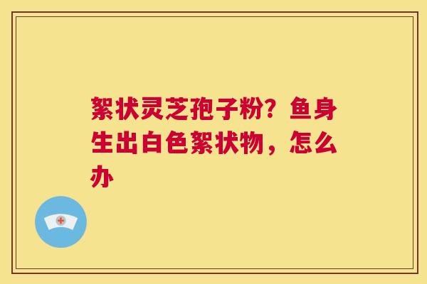 絮状灵芝孢子粉？鱼身生出白色絮状物，怎么办  第1张