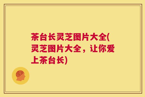 茶台长灵芝图片大全(灵芝图片大全，让你爱上茶台长)  第1张