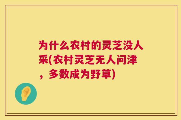 为什么农村的灵芝没人采(农村灵芝无人问津，多数成为野草)  第1张