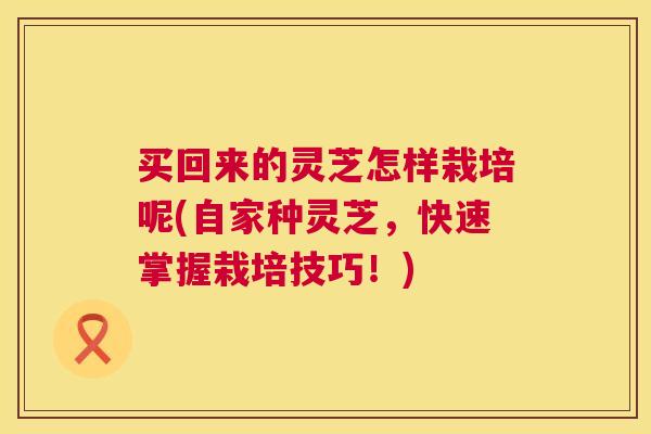 买回来的灵芝怎样栽培呢(自家种灵芝，快速掌握栽培技巧！)  第1张