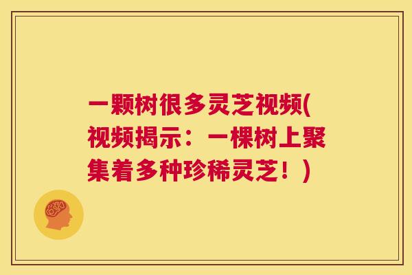 一颗树很多灵芝视频(视频揭示：一棵树上聚集着多种珍稀灵芝！)  第1张