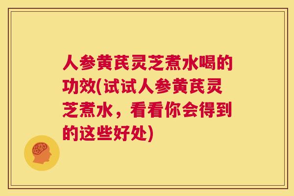 人参黄芪灵芝煮水喝的功效(试试人参黄芪灵芝煮水，看看你会得到的这些好处)  第1张