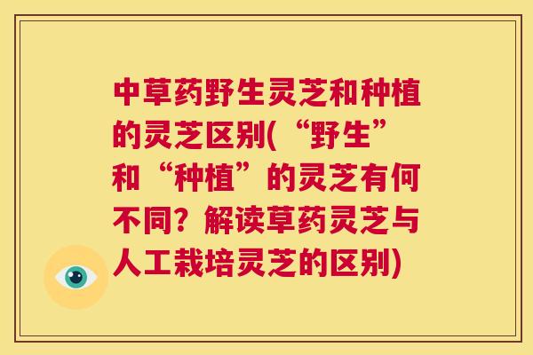 中草药野生灵芝和种植的灵芝区别(“野生”和“种植”的灵芝有何不同？解读草药灵芝与人工栽培灵芝的区别)  第1张
