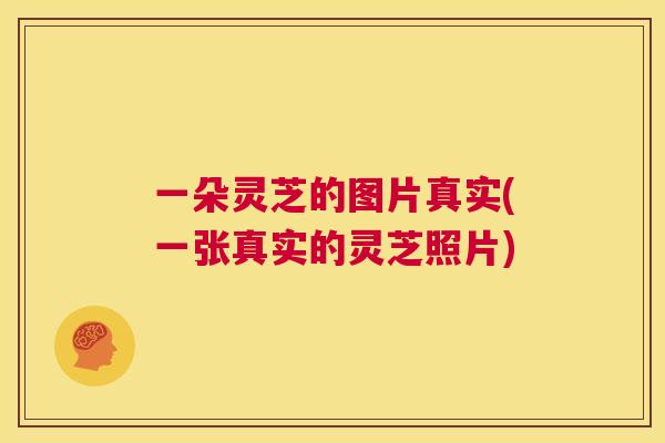 一朵灵芝的图片真实(一张真实的灵芝照片)  第1张