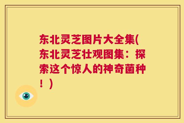 东北灵芝图片大全集(东北灵芝壮观图集：探索这个惊人的神奇菌种！)  第1张