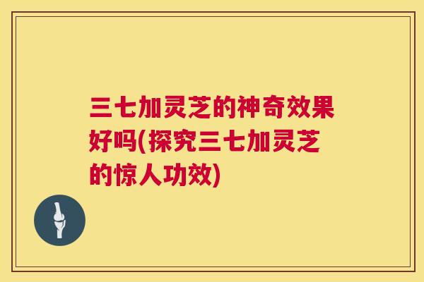 三七加灵芝的神奇效果好吗(探究三七加灵芝的惊人功效)  第1张