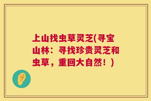 上山找虫草灵芝(寻宝山林：寻找珍贵灵芝和虫草，重回大自然！)  第1张
