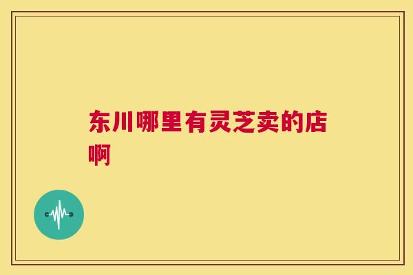 东川哪里有灵芝卖的店啊  第1张