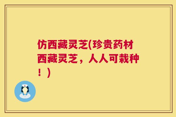 仿西藏灵芝(珍贵药材西藏灵芝，人人可栽种！)  第1张