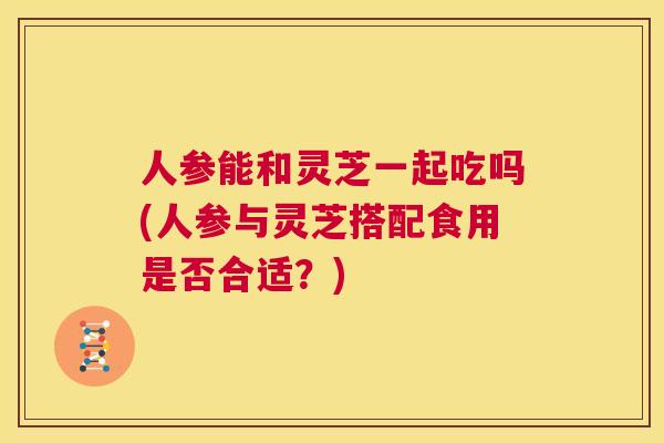 人参能和灵芝一起吃吗(人参与灵芝搭配食用是否合适？)  第1张