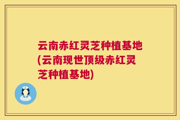 云南赤红灵芝种植基地(云南现世顶级赤红灵芝种植基地)  第1张