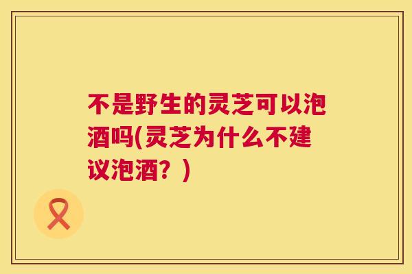 不是野生的灵芝可以泡酒吗(灵芝为什么不建议泡酒？)  第1张