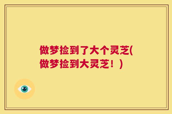 做梦捡到了大个灵芝(做梦捡到大灵芝！)  第1张