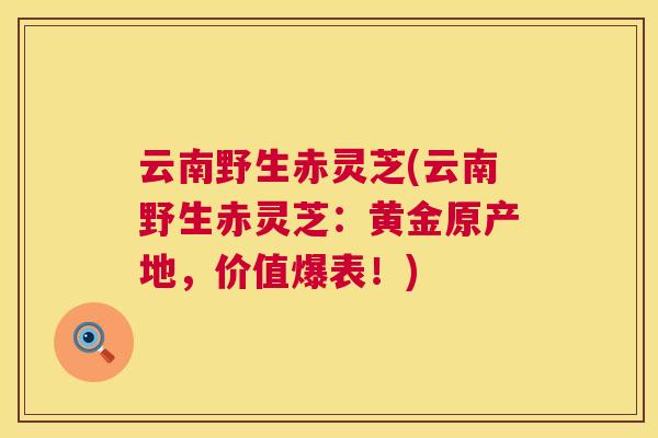 云南野生赤灵芝(云南野生赤灵芝：黄金原产地，价值爆表！)  第1张