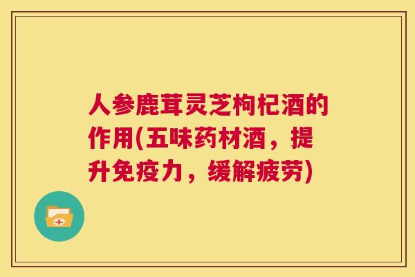 人参鹿茸灵芝枸杞酒的作用(五味药材酒，提升免疫力，缓解疲劳)  第1张