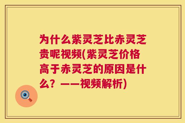 为什么紫灵芝比赤灵芝贵呢视频(紫灵芝价格高于赤灵芝的原因是什么？——视频解析)  第1张