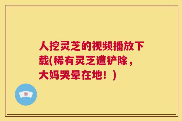 人挖灵芝的视频播放下载(稀有灵芝遭铲除，大妈哭晕在地！)  第1张