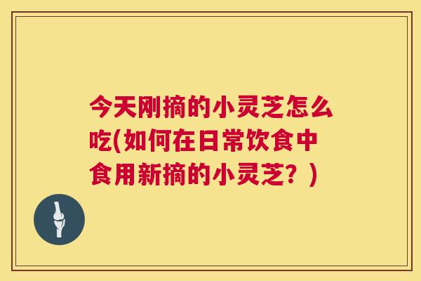 今天刚摘的小灵芝怎么吃(如何在日常饮食中食用新摘的小灵芝？)  第1张
