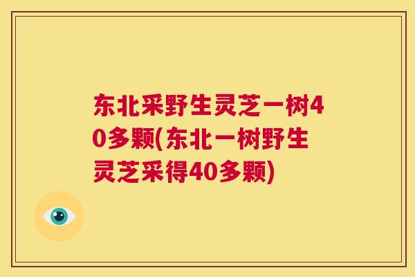 东北采野生灵芝一树40多颗(东北一树野生灵芝采得40多颗)  第1张