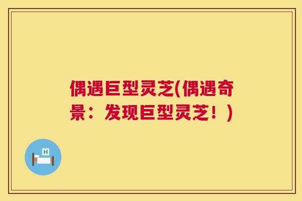 偶遇巨型灵芝(偶遇奇景：发现巨型灵芝！)  第1张