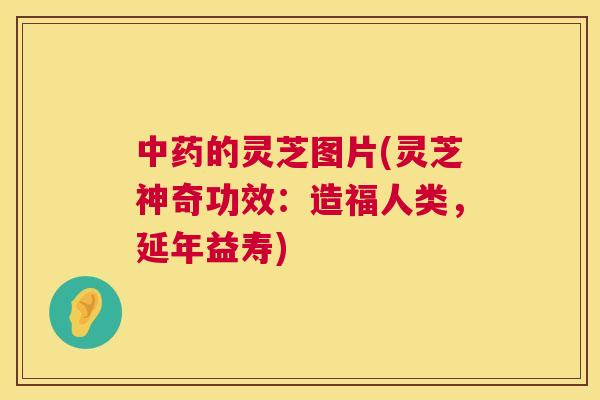 中药的灵芝图片(灵芝神奇功效：造福人类，延年益寿)  第1张