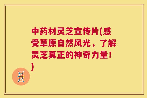 中药材灵芝宣传片(感受草原自然风光，了解灵芝真正的神奇力量！)  第1张
