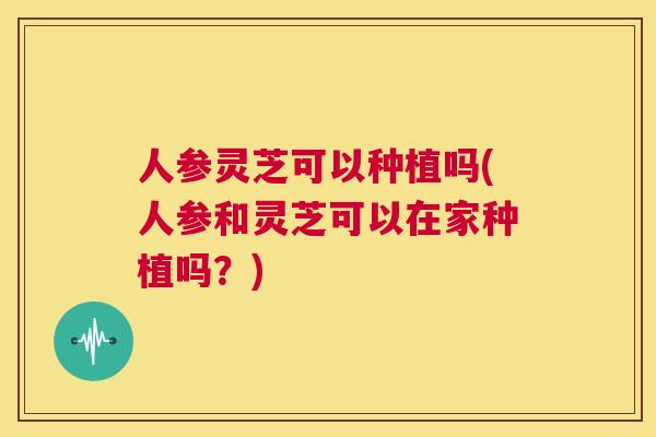 人参灵芝可以种植吗(人参和灵芝可以在家种植吗？)  第1张