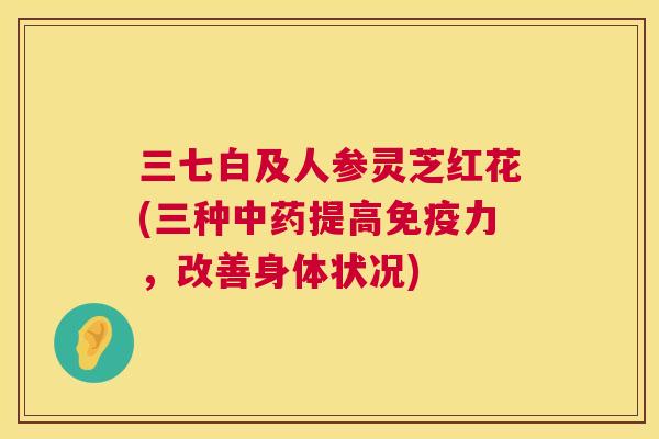 三七白及人参灵芝红花(三种中药提高免疫力，改善身体状况)  第1张