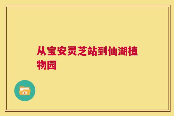 从宝安灵芝站到仙湖植物园  第1张