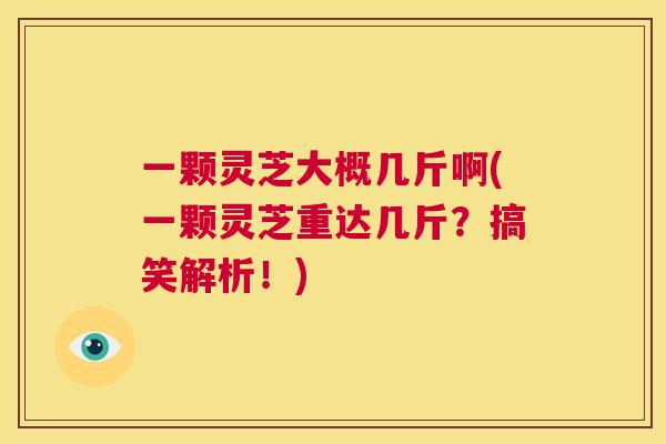 一颗灵芝大概几斤啊(一颗灵芝重达几斤？搞笑解析！)  第1张
