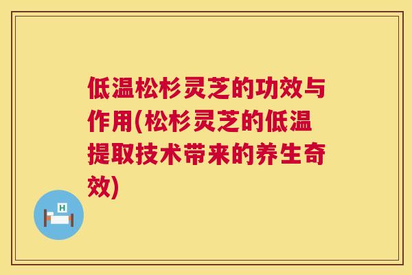 低温松杉灵芝的功效与作用(松杉灵芝的低温提取技术带来的养生奇效)  第1张