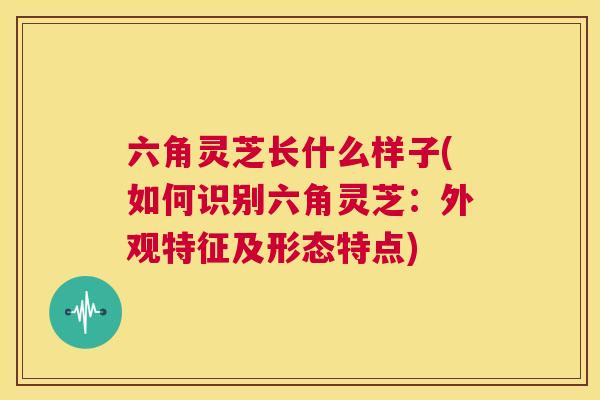 六角灵芝长什么样子(如何识别六角灵芝：外观特征及形态特点)  第1张