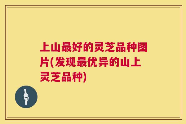 上山最好的灵芝品种图片(发现最优异的山上灵芝品种)  第1张