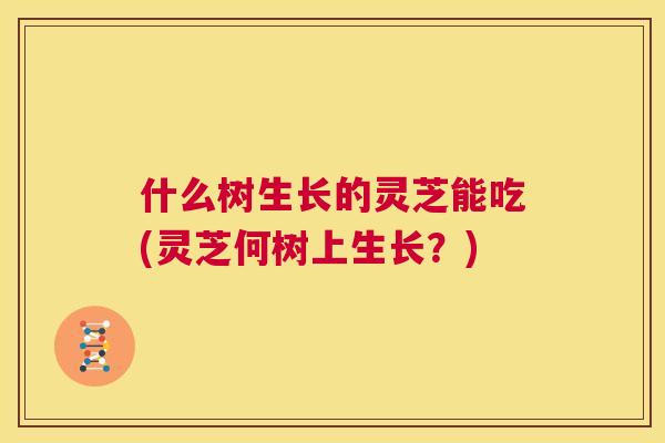 什么树生长的灵芝能吃(灵芝何树上生长？)  第1张