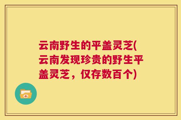 云南野生的平盖灵芝(云南发现珍贵的野生平盖灵芝，仅存数百个)  第1张