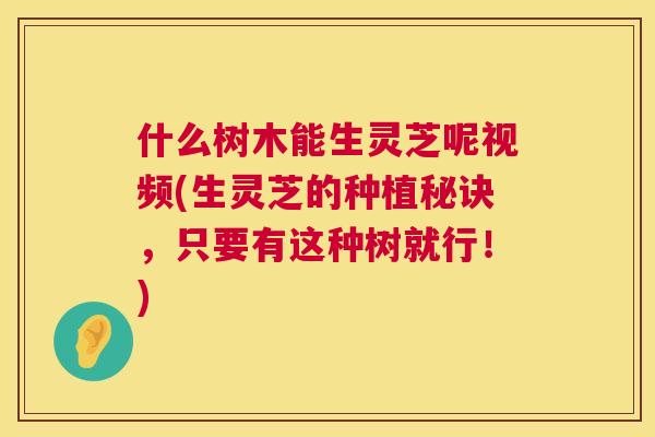 什么树木能生灵芝呢视频(生灵芝的种植秘诀，只要有这种树就行！)  第1张