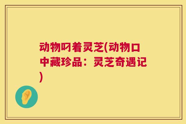 动物叼着灵芝(动物口中藏珍品：灵芝奇遇记)  第1张