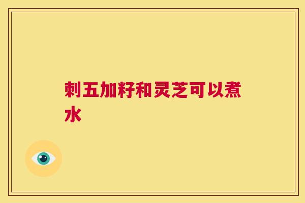 刺五加籽和灵芝可以煮水  第1张