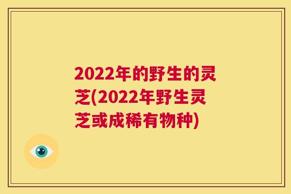 2022年的野生的灵芝(2022年野生灵芝或成稀有物种)  第1张