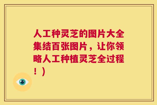 人工种灵芝的图片大全集结百张图片，让你领略人工种植灵芝全过程！)  第1张