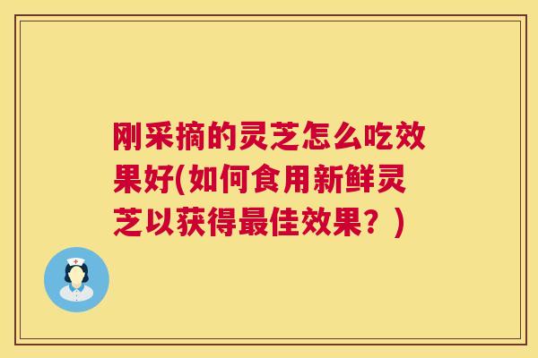 刚采摘的灵芝怎么吃效果好(如何食用新鲜灵芝以获得最佳效果？)  第1张