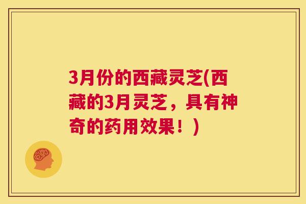 3月份的西藏灵芝(西藏的3月灵芝，具有神奇的药用效果！)  第1张