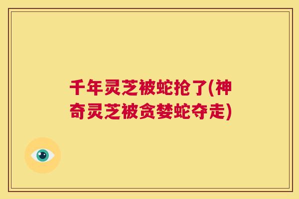 千年灵芝被蛇抢了(神奇灵芝被贪婪蛇夺走)  第1张