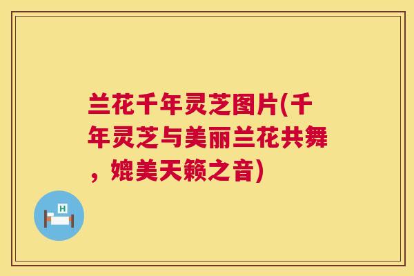 兰花千年灵芝图片(千年灵芝与美丽兰花共舞，媲美天籁之音)  第1张