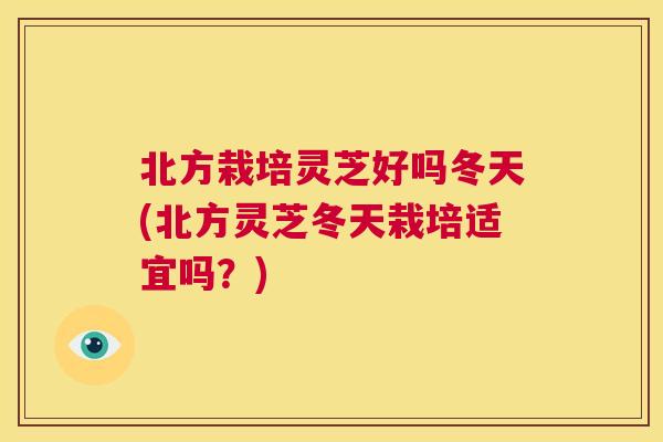 北方栽培灵芝好吗冬天(北方灵芝冬天栽培适宜吗？)  第1张