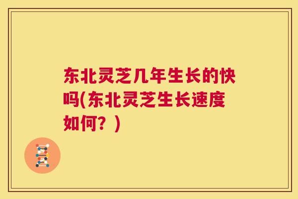 东北灵芝几年生长的快吗(东北灵芝生长速度如何？)  第1张